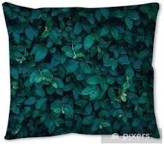 Rainroad velvet decorative throw pillow covers cushion cover pillow case for sofa couch bed chair ,soft square dark green throw pillows 18x18 inch,set of 2 4.6 out of 5 stars 4,038 $12.89 $ 12. Dark Green Leaf Background Throw Pillow Pixers We Live To Change