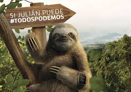 El perezoso bayo o oso perezoso (bradypus variegatus) el perezoso tiene piel grisácea castaña a beige, y es muy gruesa. Julian El Oso Perezoso De La Campana Saludsa Vitality