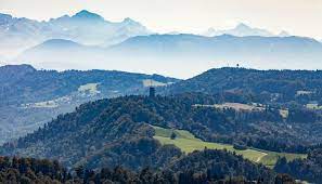 6 geniale wanderungen rund um zuri wandern schweiz wanderwege wanderung