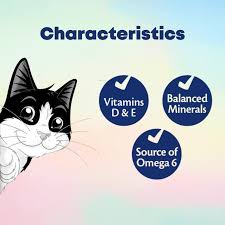 Purina Felix Kitten Adult Cat Wet Food Pouch 85g