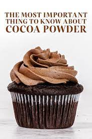 The Most Important Thing To Know About Cocoa Powder In 2021 Baking Science Chocolate Desserts Chocolate Recipes
