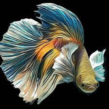 Pin By Nft Design Service On Nft Art In 2021