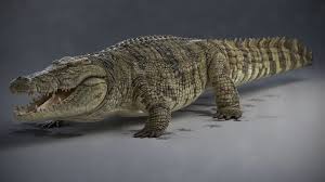 Artstation Crocodile Wip Dmytro Teslenko Crocodile Animals Artwork