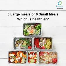 3large Meals Vs 6 Small Meals In 2020 Small Meals 6 Meals A Day Healthy Eating Plan