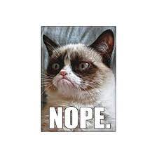 Grumpy Cat Nope Understand Magnet Weird Funny Gags Gifts Stuff Grumpy Cat Grumpy Cat Meme Gag Gifts Funny