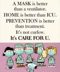 Hiraeth In 2020 Snoopy Quotes Snoopy Funny Funny Quotes