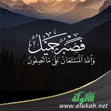 فصبر جميل والله المستعان على ما تصفون منهج يعقوب عليه السلام في التعامل مع مشكلة أبنائه