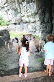Kid Friendly Activities In New York City Family Adventures In Nyc Activities In Nyc Travel Photography People York Things To Do