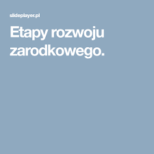 Etapy Rozwoju Zarodkowego