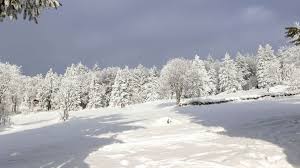 Experten warnen vor schneechaos und frostigen minustemperaturen. Wetter In Deutschland Schnee Eisige Kalte Und Sturmboen Dwd Warnt Teils Gefahrlich Glatt Welt