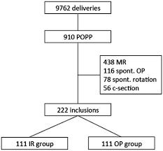 Image result for Manual Rotation in Occipitoposterior Presentation