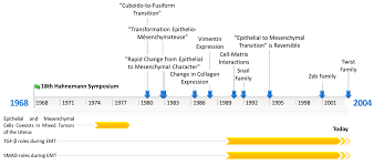 biomolecules free full text epithelial to mesenchymal transition history from embryonic development to cancers html