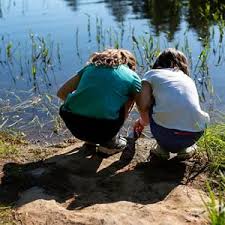 The Nature Conservancy In New York