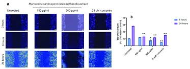 Image result for Momordica cardiospermoides