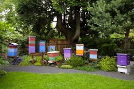 Bridgetown Bees Backyard Bee Bee Friendly Painted Bee Hives