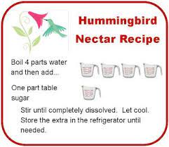 Next Stop Pinterest Nectar Recipe Hummingbird Nectar Recipe Hummingbird Nectar