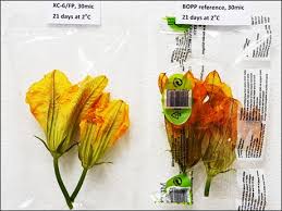 Maybe you would like to learn more about one of these? Rop Introduces Ma Packaging For Edible Flowers