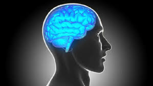 22 de fevereiro de 2021. Medico Brasileiro Mede O Cerebro Para Detectar Avanco Da Esclerose Multipla Veja