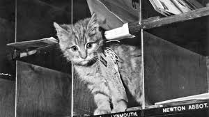 Optimize uptime with maintenance alerts based on equipment utilization. The Time Cats Delivered The Mail In Belgium Mental Floss