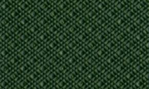 Image result for Green 1978 Fiesta