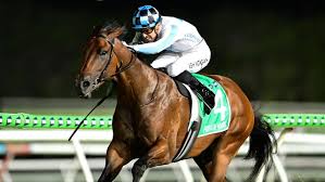 The hype is real as Private Harry stuns in Sunlight romp