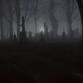 Chapel Hill Ghost Walk event image