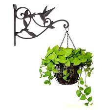 Nous n'acceptons paypal pour le moment. Crochet Suspension Plante Murale Support Pot De Fleur En Metal Decoration De Jardin Maison Pour Panier Suspendu Cloche De Vent Plant Cdiscount Jardin
