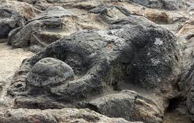 Tempat wisata resort ini dibuka pada tahun 2010, dan dibangun dengan menggunakan biaya sebesar us$5.7 milyar sehingga termasuk mewah. Mongotrip Mau Nge Trip Kemana Cek Disini Aja