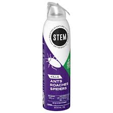 Will Wasp Spray Kill A Spider (And Vice Versa)? Truth Revealed - What'S  That Bug?