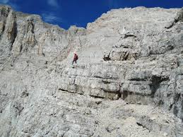 Check spelling or type a new query. Stefan Mitterer