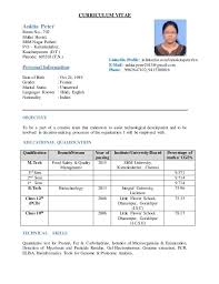 Curriculum Vitae Format For Job Interview Filename Guatemalago Best Curriculum Vitae Format Fo Curriculum Vitae Job Resume Template Curriculum Vitae Format