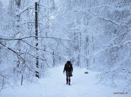 Image result for hình ảnh tuyết rơi