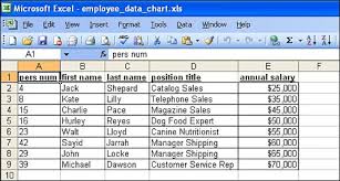 The Fictional Sap Report For A Basic Microsoft Excel Pie