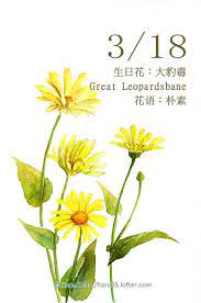 每日一花3 18 生日花 haru hello doodle art flowers watercolor flowers flower art