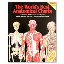 Human Anatomy Chart Book