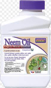 You can buy neem oil sprays in a garden centre, but if you'd like to make your own, it's a very simple process. Insecticide Neem Oil Neem Tree Acaricide Neem Oil Oil Acaricide Water Png Pngwing