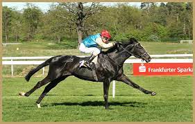 We did not find results for: Top Galopper Antek Vom Rennpferd Zum Facebook Star