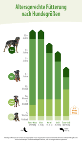 Es ist ein zoo hier! Hundeernahrung Fur Jedes Alter Junior Adult Oder Senior