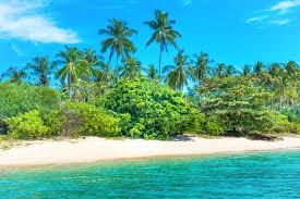 Click on photo to stay in current window, click on photo id to open new window.] Beautiful Beach At Tropical Island With Stock Image Colourbox