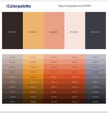 Design expertise · colors you love · legendary quality 190 Latest Color Schemes With Dark Salmon And Dark Salmon Color Tone Combinations 2021 Icolorpalette