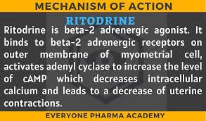 Image result for Ritodrine