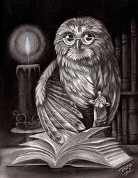 Book Owl Uilen Tekenen Dieren Kleurplaten Kunst Schetsen