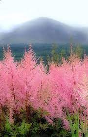 The Mourne Mountains Northern Ireland Beautiful Nature Nature Beautiful Landscapes