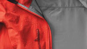 نتیجه جستجوی لغت [gore] در گوگل