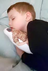 Lad, three, who cries himself to sleep when RAF dad is away given doll of  his hero to help nod off