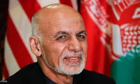 We did not find results for: Mqlw5qqzoonoxm