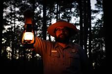 Big Thicket by Lamplight