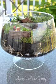 Miniature Garden Terrarium Whats Ur Home Story