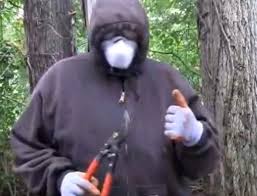 Can it eat away at my skin causing much pain and blistering? What Kills Poison Ivy Mike S Backyard Nursery