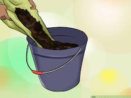 Dragon fruit look amazing and taste wonderful. How To Mix Your Own Cactus And Succulent Soil 4 Steps